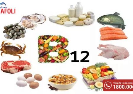 Tổng quan về vitamin B12 trong cơ thể 