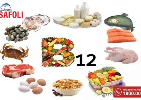Tìm hiểu Vitamin B12 có ở đâu? | Avisure Safoli