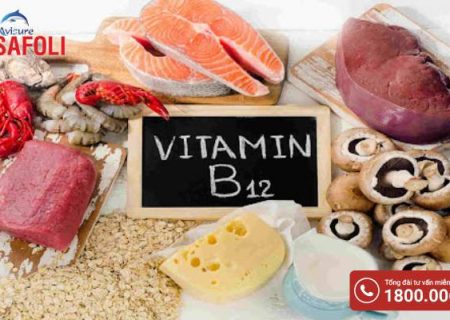 Vitamin B12 có trong thực phẩm nào nhiều nhất?