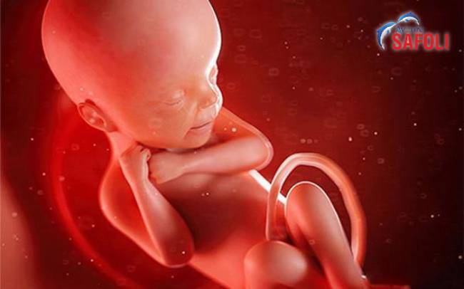 Thiếu máu khi mang thai gây ảnh hưởng xấu đến cả mẹ và thai nhi