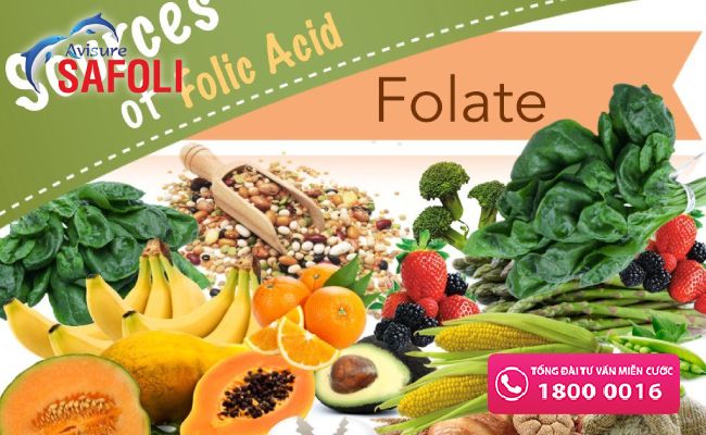 Folate acid có ở đâu