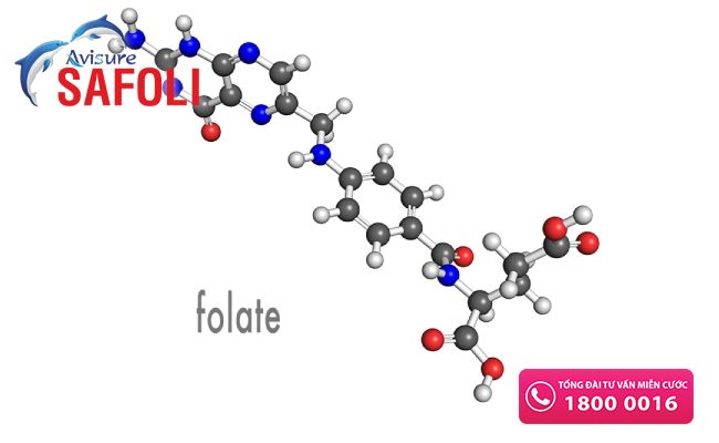Cấu trúc folate acid là gì?