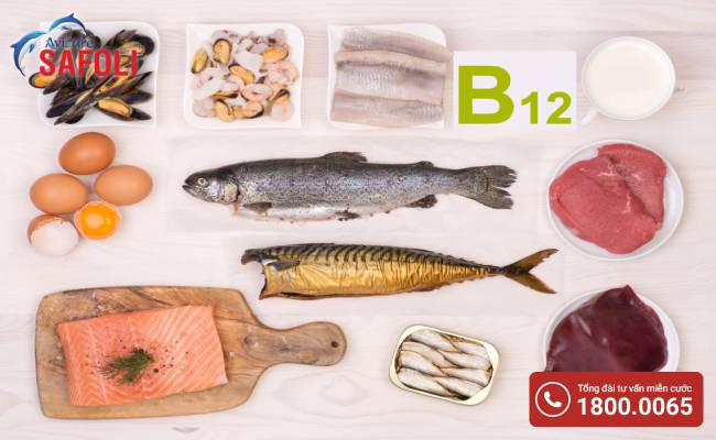 Rất nhiều thực phẩm chứa hàm lượng vitamin B12 cao