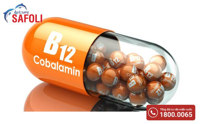 Vitamin B12 có tác dụng gì với cơ thể?