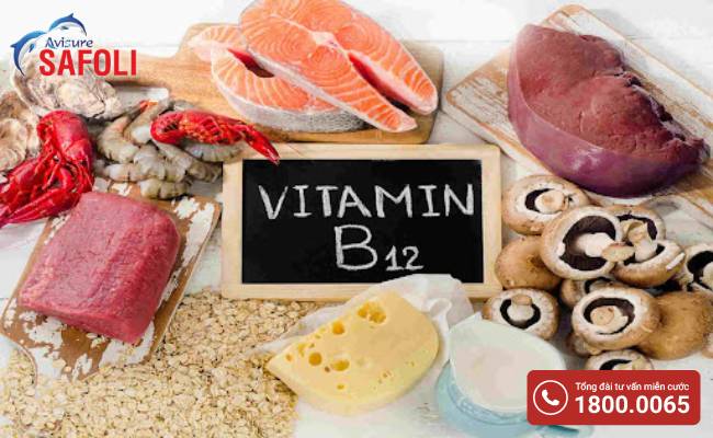 Vitamin B12 là một dưỡng chất thiết yếu của cơ thể 