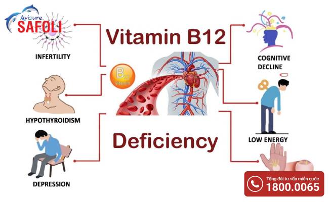 Thiếu vitamin B12 có thể gây ra nhiều bệnh lý nguy hiểm