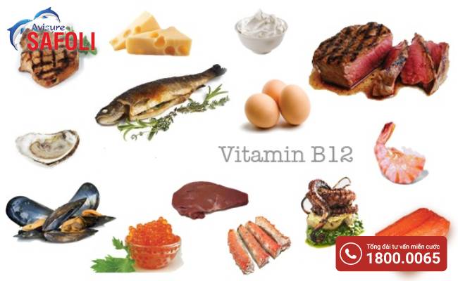 Vitamin B12 có nhiều trong hải sản, thịt bò,...