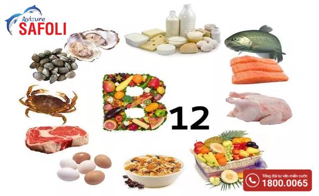 Vitamin B12 có ở đâu?