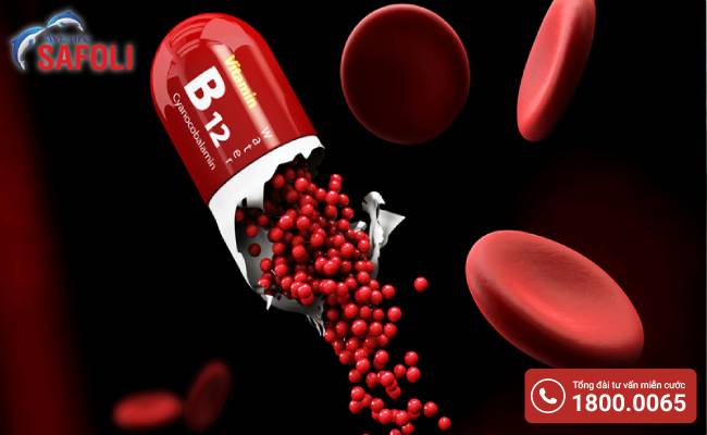 Vitamin B12 tham gia quá trình sản xuất hồng cầu