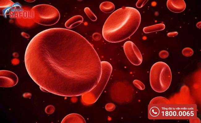Bệnh thiếu máu ác tính - Có nguyên nhân do thiếu hụt chất cobalamin (B12)