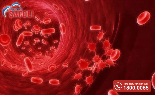 Uống thuốc bổ máu giúp hồng cầu khỏe mạnh