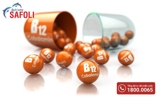 Vitamin B12 được chỉ định trong những trường hợp nào?