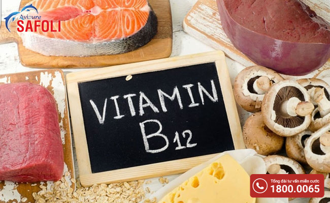 Bổ sung vitamin B12 cho người thiếu máu