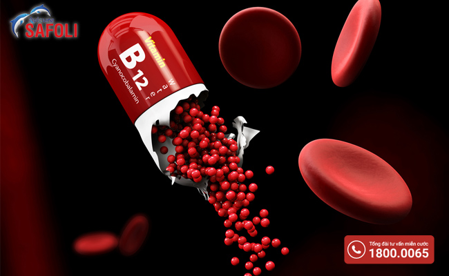 Vitamin B12 có vai trò quan trọng trong việc tạo nên các tế bào hồng cầu