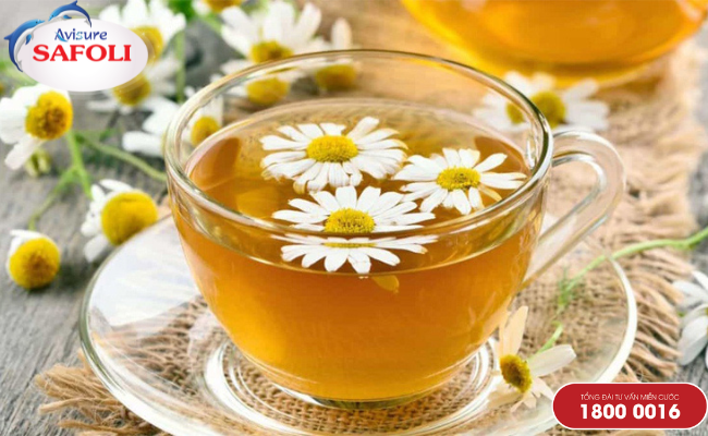 Trà hoa cúc đồ uống thanh mát tốt cho người bị đau bụng kinh