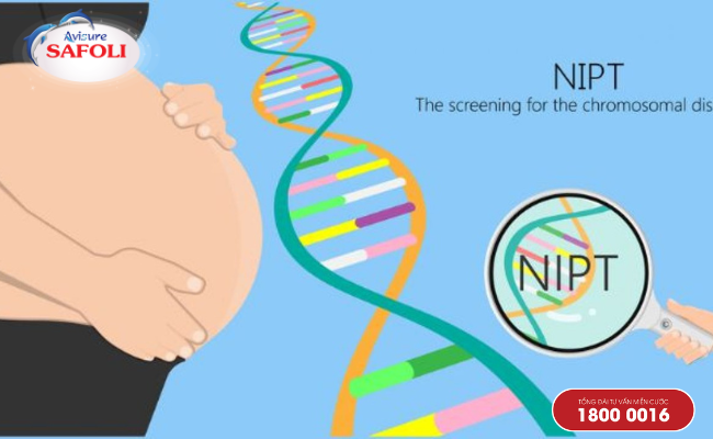 Xét nghiệm Nipt phương pháp sàng lọc tầm soát dị tật sớm ngay ở 3 tháng đầu thai kỳ