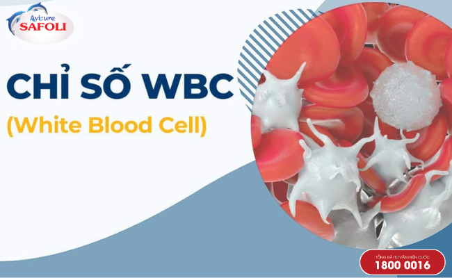 Chỉ số WBC - Chỉ số thiếu máu ở trẻ em